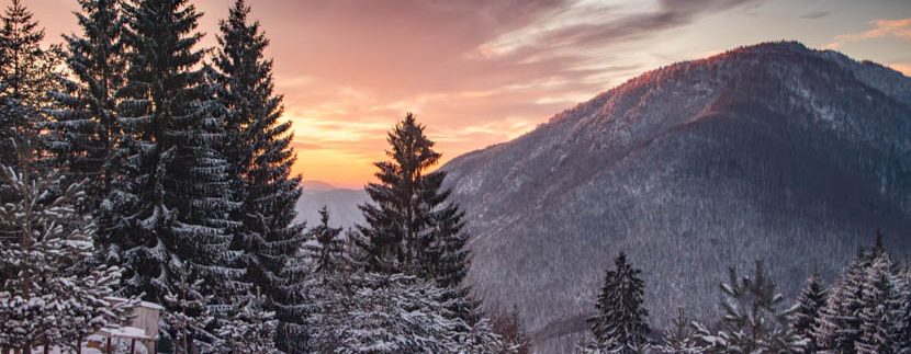 planina-tara-zimovanje (27)
