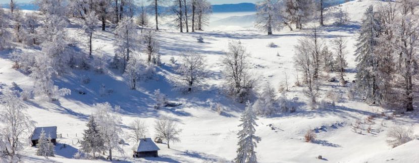 planina-tara-zimovanje (4)