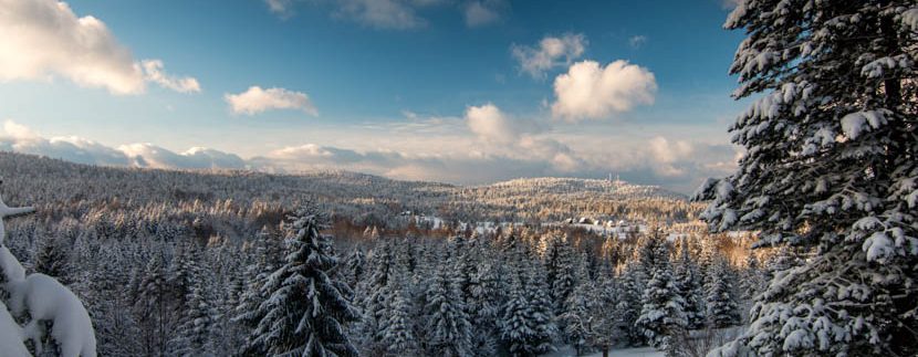 planina-tara-zimovanje (40)