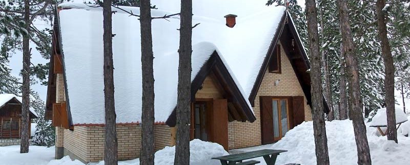 vikendica-sofija-tara-s1