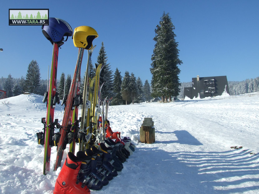 Skijanje na Mitrovcu na Tari