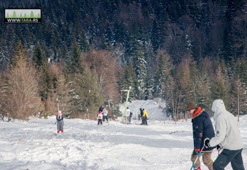 tara-zaovine-sekulic-skijanje-ski-staza (5)