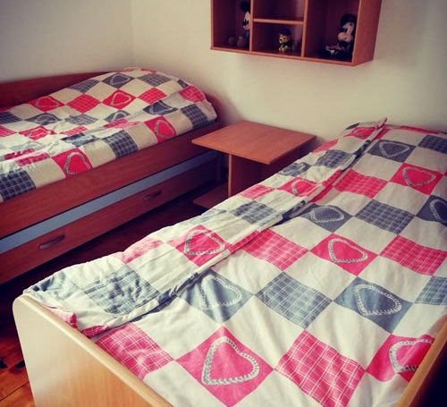apartman-tara-g18-aleksa-kaludjerske-bare-3