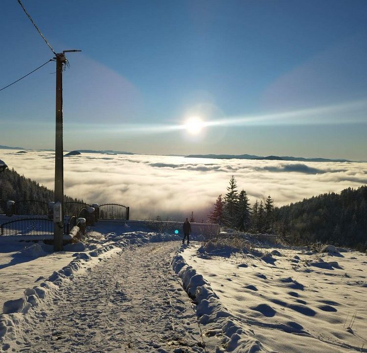 vikendica-sekulić-smeštaj-na-tari (11)