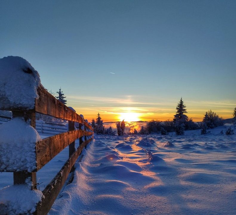 vikendica-sekulić-smeštaj-na-tari (15)