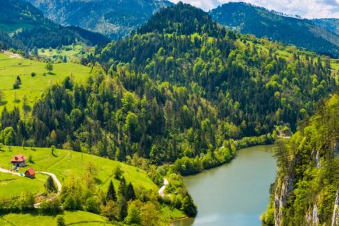 Planina Tara - odmor i smeštaj na planini Tari (380)