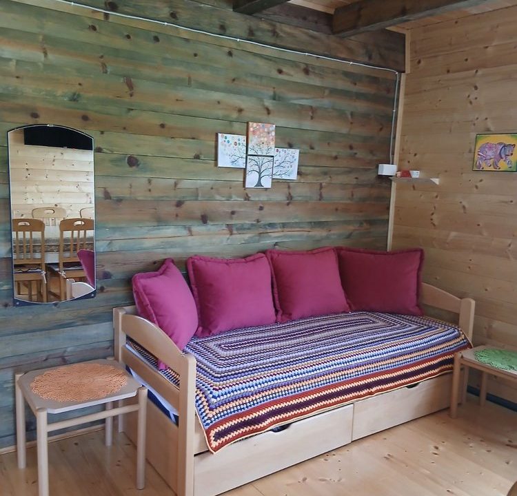 drvena-kuća-nada-tara-smeštaj-zaovine (5)