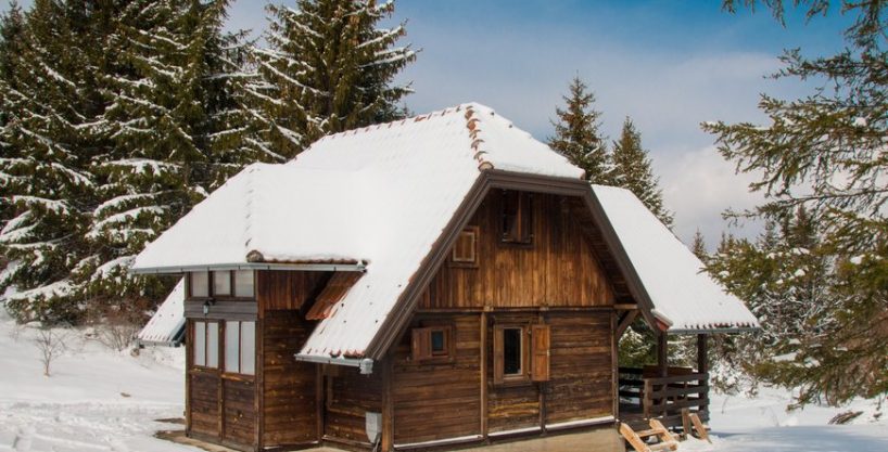 Log cabin VIDIKOVAC