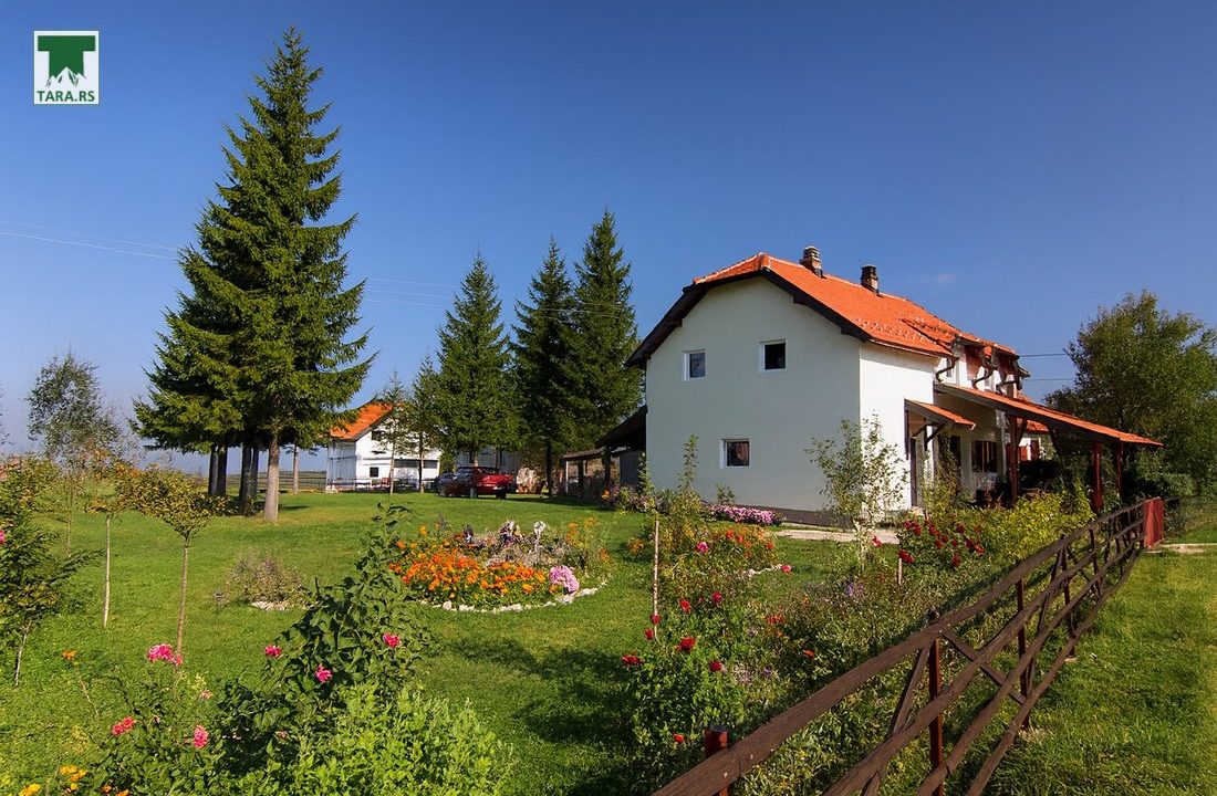apartmani-petrović-planina-tara-smeštaj-kaluđerske-bare (2)
