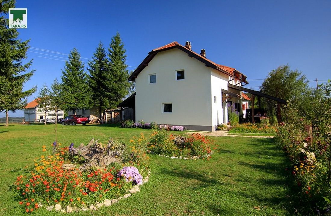 apartmani-petrović-planina-tara-smeštaj-kaluđerske-bare (3)