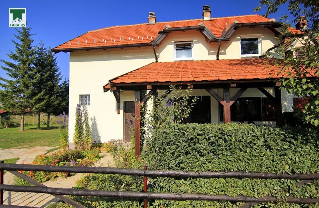 apartmani-petrović-planina-tara-smeštaj-kaluđerske-bare (7)