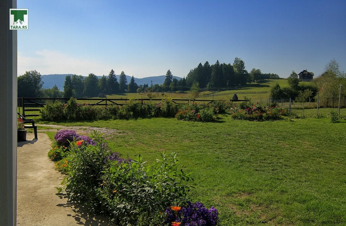 apartmani-petrović-planina-tara-smeštaj-kaluđerske-bare (8)