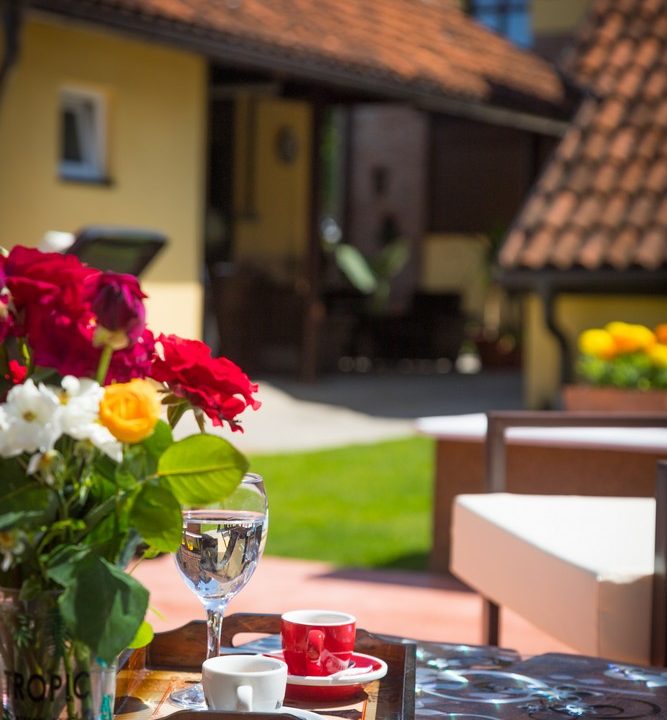 apartmani-brick-bajina-bašta-smeštaj-bazen (63)