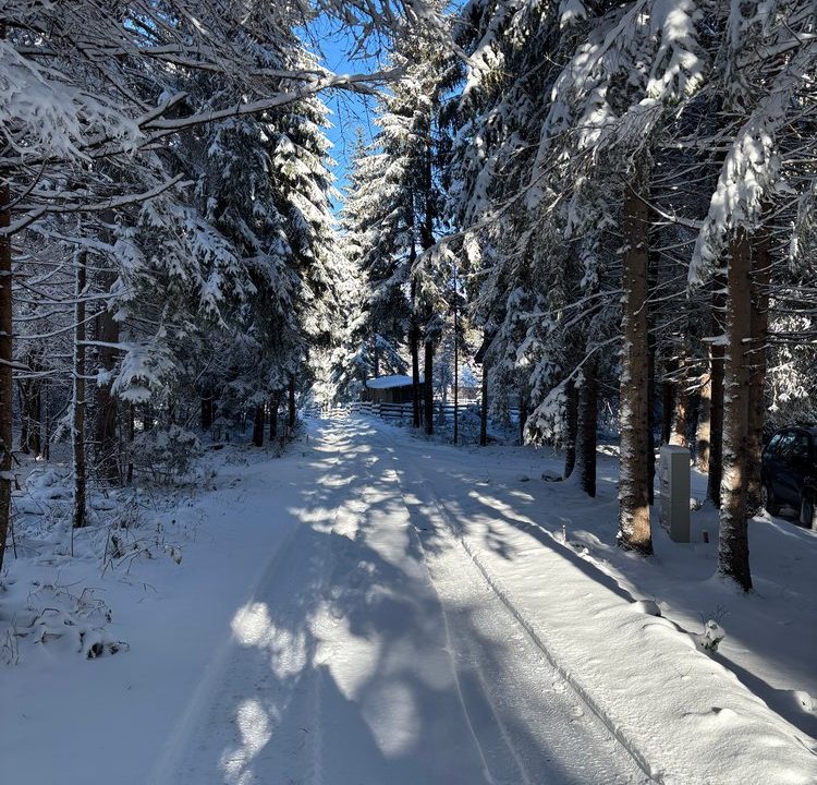 brvnara-jela-planina-tara-smeštaj-osluša (12)