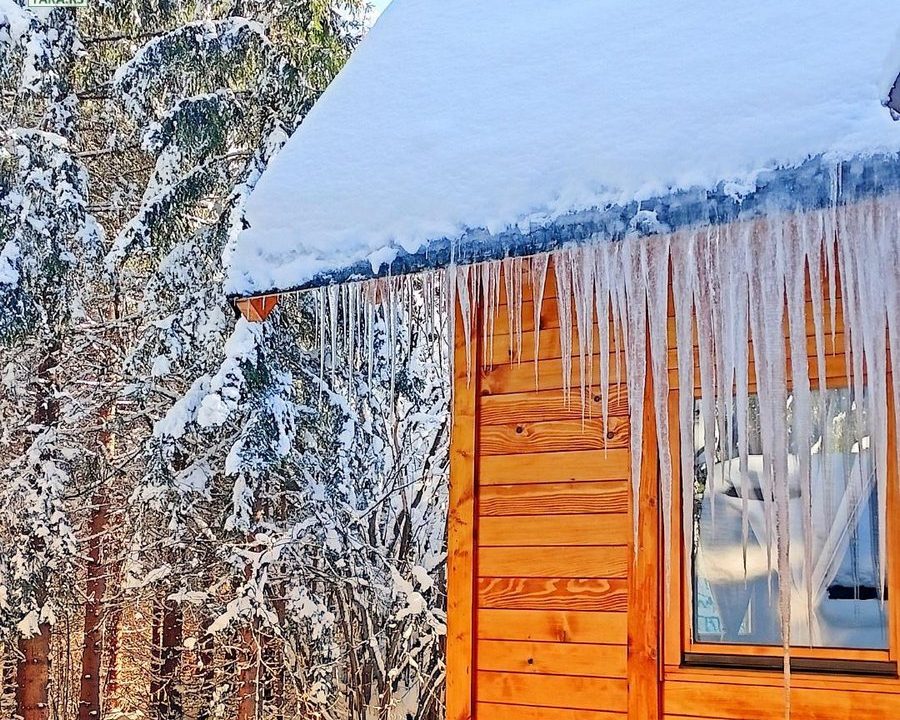 brvnara-jela-planina-tara-smeštaj-osluša (17)