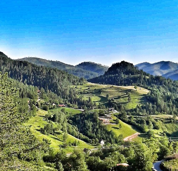 čarobna-koliba-planina-tara-smeštaj-zaovine-15