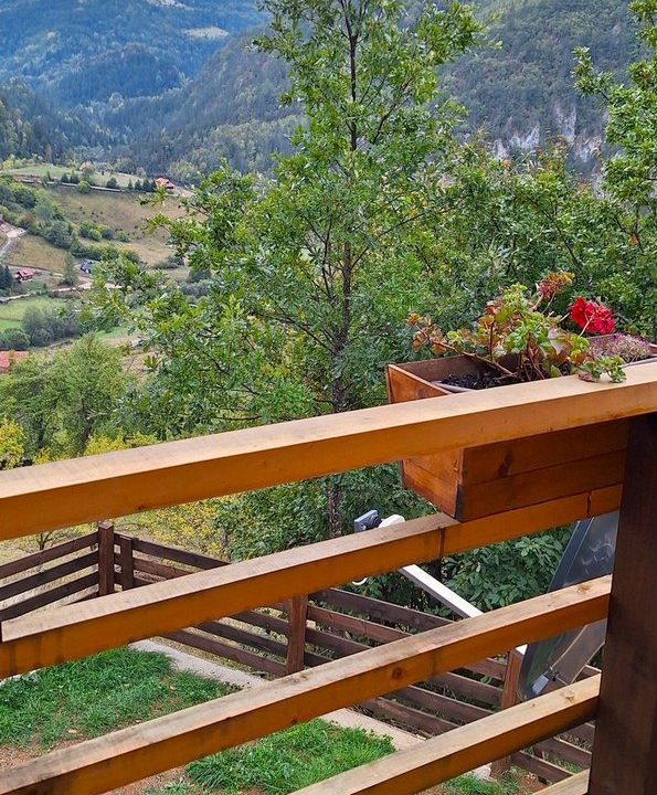 drvena-kućica-šuška-3-planina-tara-smeštaj-zaovine-13
