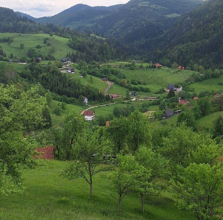 drvena-kućica-šuška-3-planina-tara-smeštaj-zaovine-18