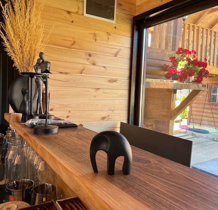 planina-tara-restoran-Laganini-na-planini-14