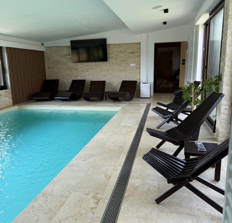 planina-tara-spa-bazen-sauna-djakuzi-2