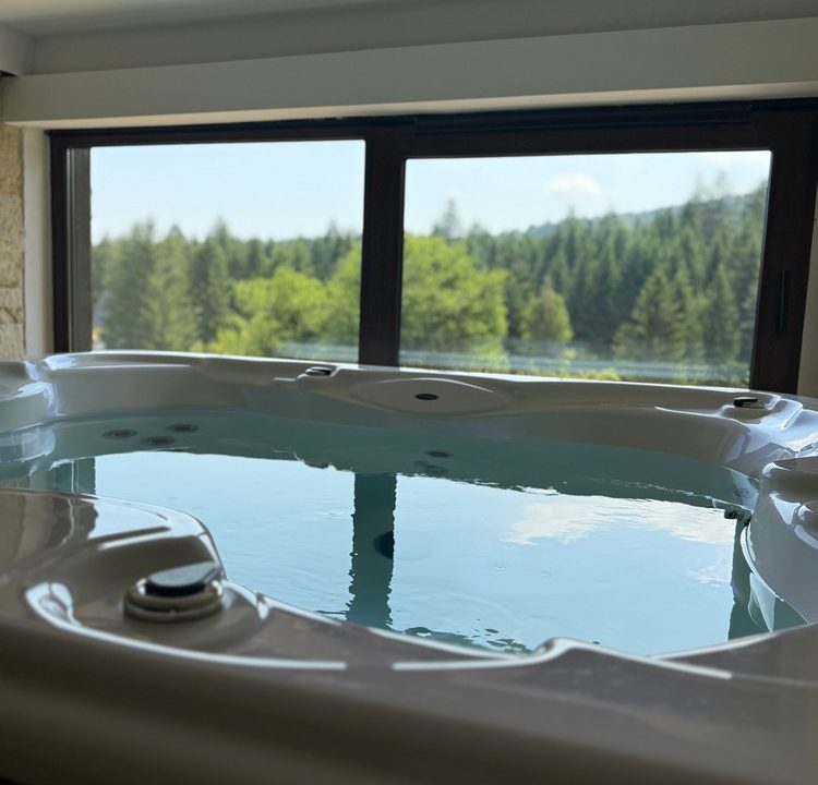 planina-tara-spa-bazen-sauna-djakuzi-6