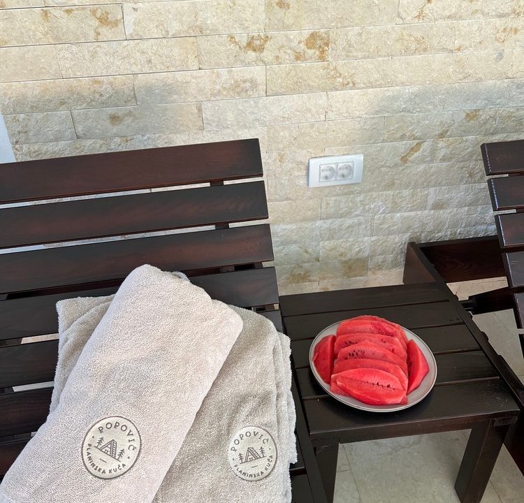 planina-tara-spa-bazen-sauna-djakuzi-8