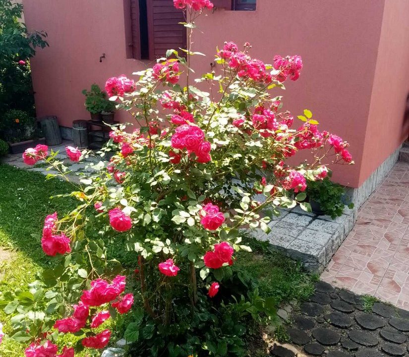 vila-dođi-planina-tara-smeštaj-2026 (4)