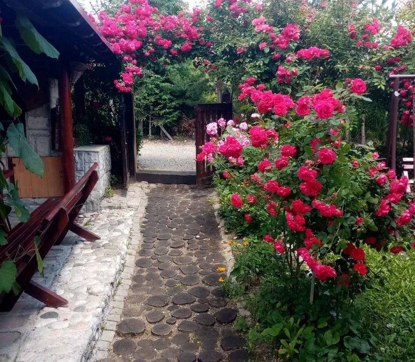 vila-dođi-planina-tara-smeštaj-2026 (5)