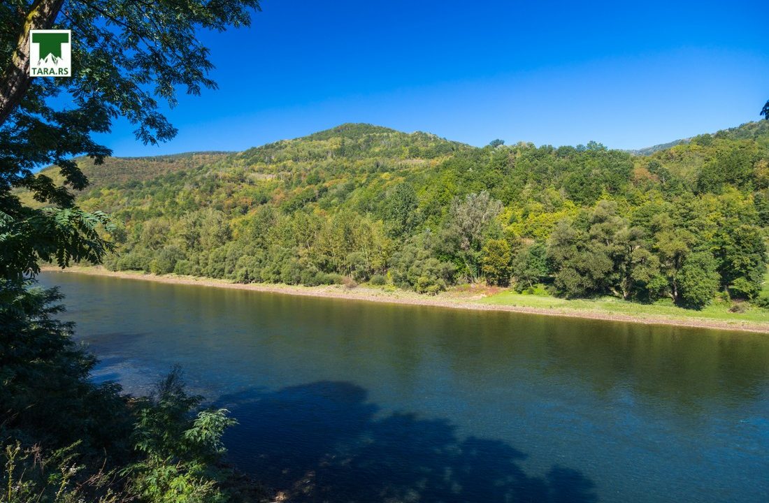 vila-dom-drina-bajina-bašta-smeštaj (63)