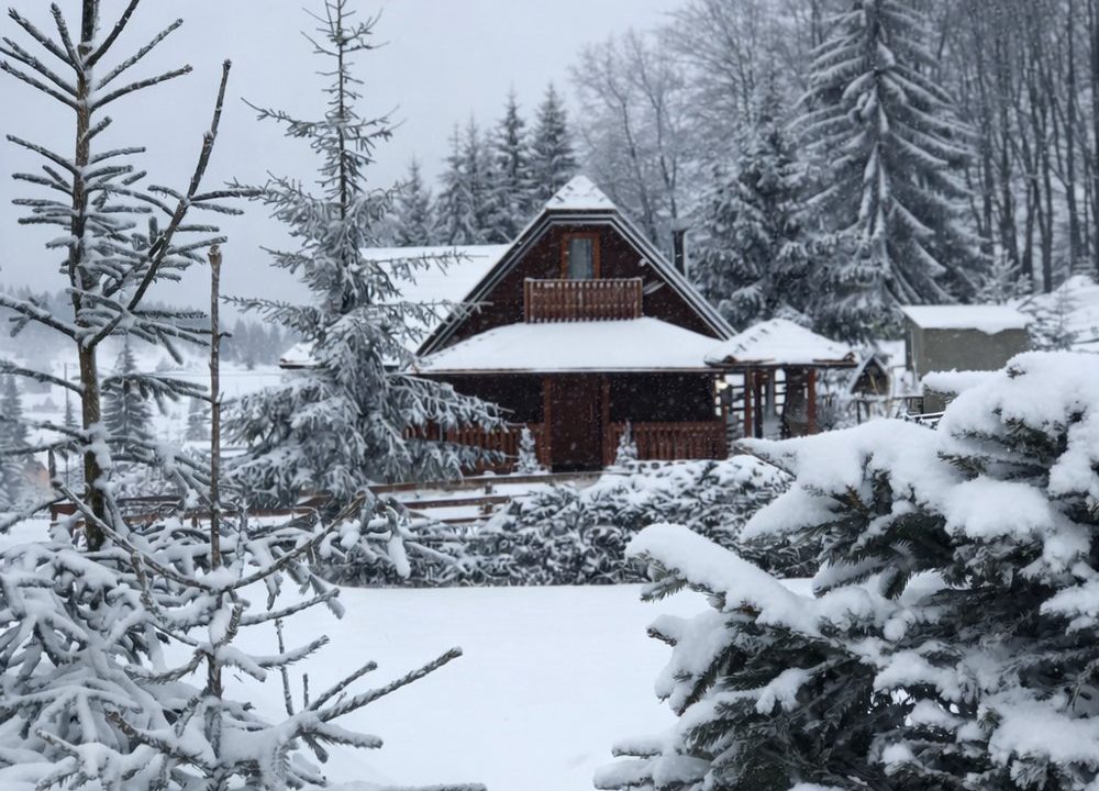 vila perduh planina tara smeštaj sekulić (9)