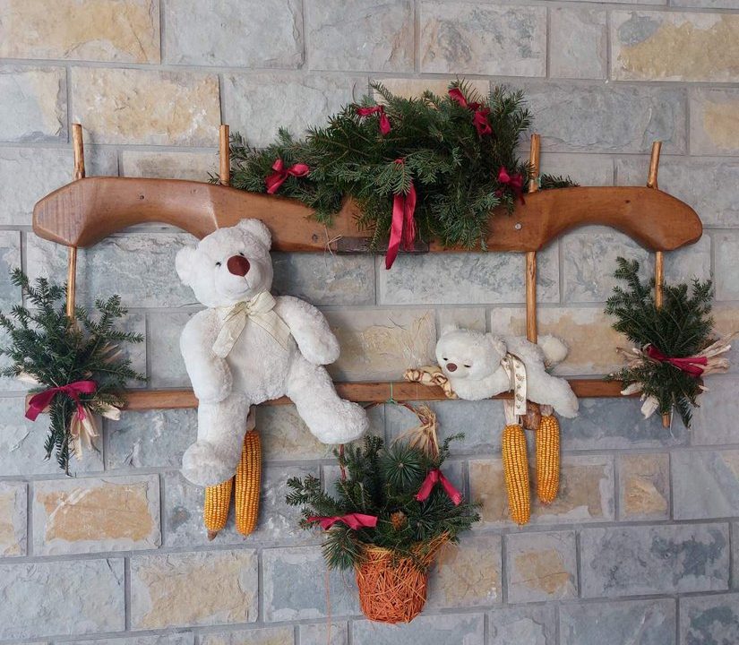 apartmani-rajski-san-planina-tara-smestaj (10)