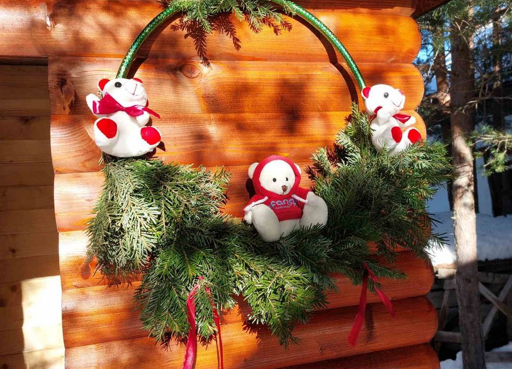 apartmani-rajski-san-planina-tara-smestaj (11)