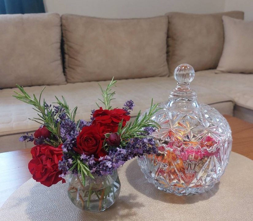 apartmani-rajski-san-planina-tara-smestaj (6)