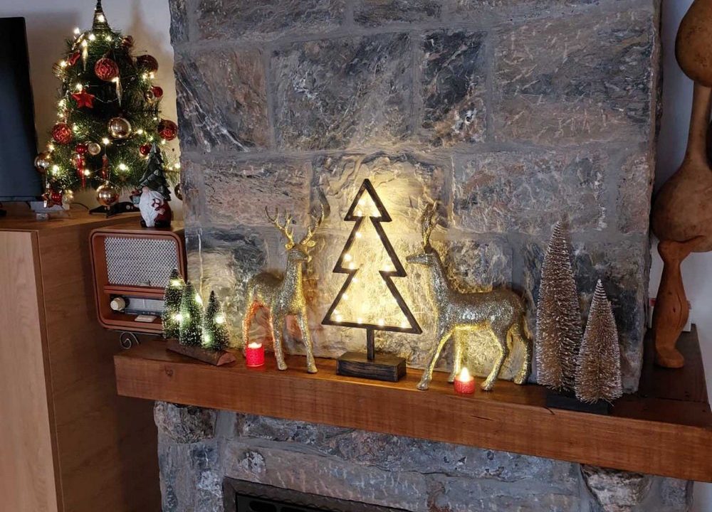 apartmani-rajski-san-planina-tara-smestaj (8)