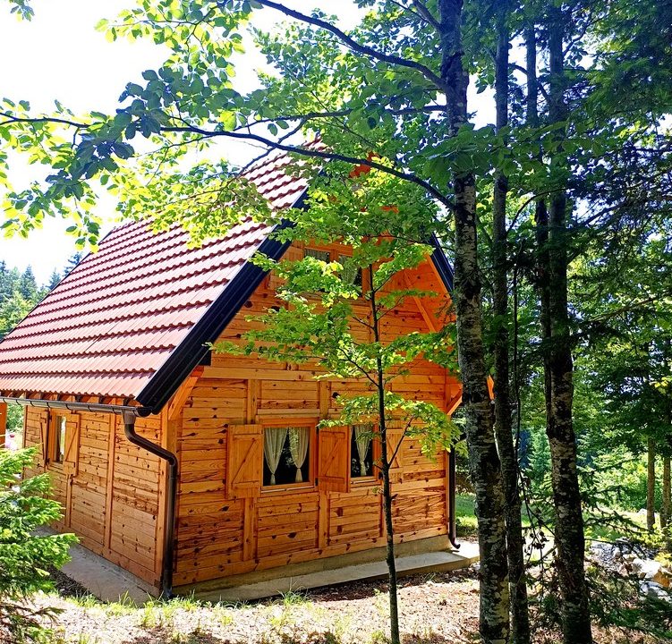 brvnara-planinski-raj-tara-smeštaj-zaovine-13