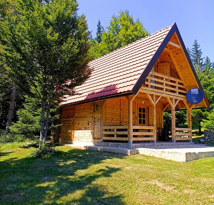 brvnara-planinski-raj-tara-smeštaj-zaovine-2
