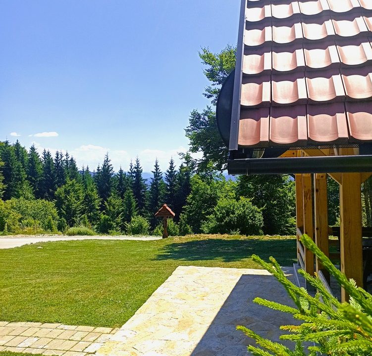 brvnara-planinski-raj-tara-smeštaj-zaovine-6