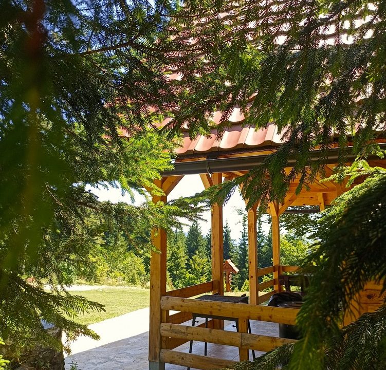 brvnara-planinski-raj-tara-smeštaj-zaovine-7