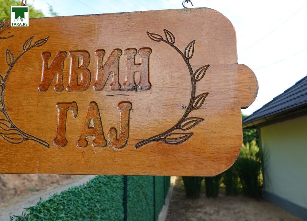 ivin-gaj-bajina-bašta-smeštaj-bazen (37)