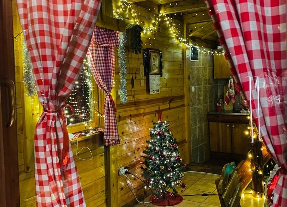 koljeba-ikica-i-makica-tara-smeštaj-brvnara-6