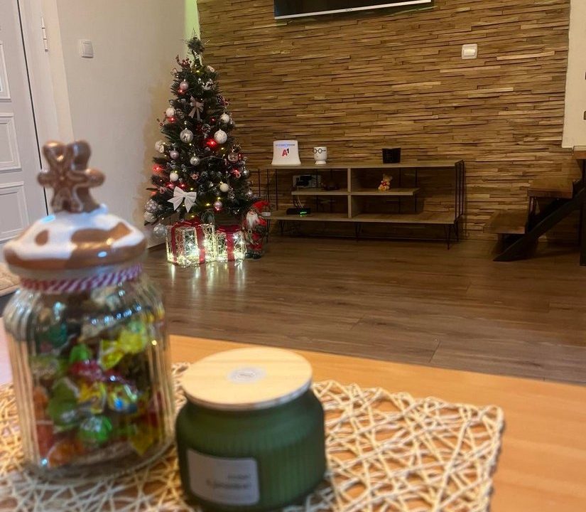 tara-vikendica-oaza-mira-smeštaj (11)