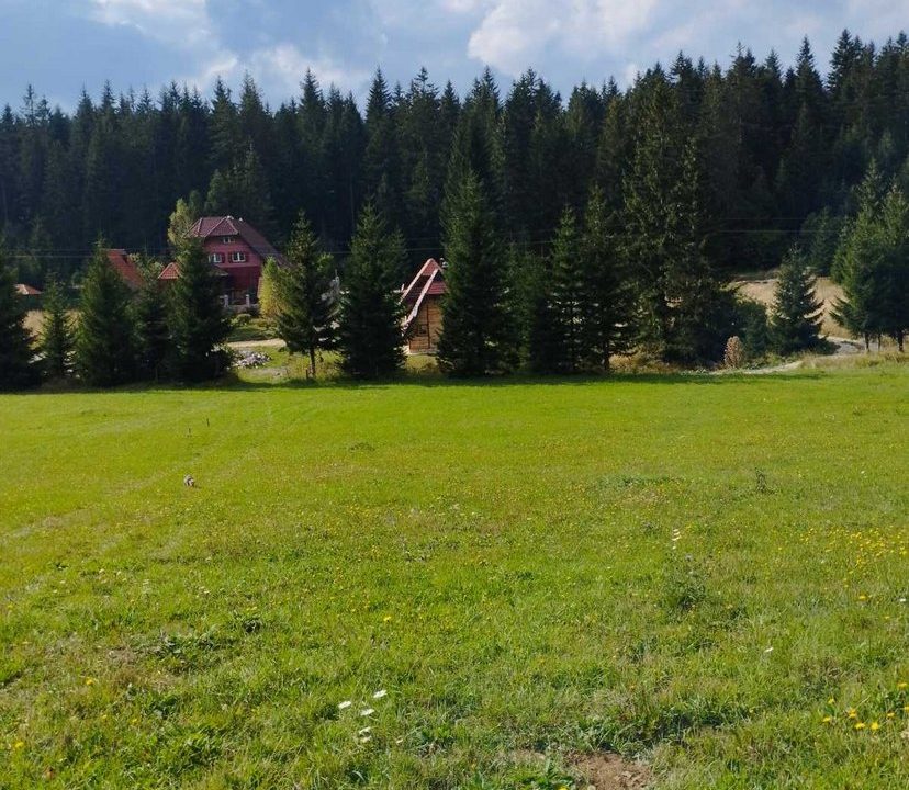 vikendica-o2-planina-tara-mitrovac-krnja-jela (10)