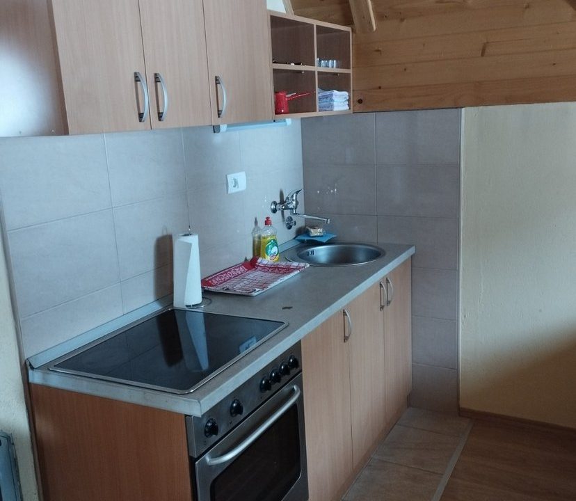 vikendica-o2-planina-tara-mitrovac-krnja-jela (14)