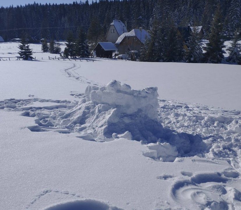 vikendica-o2-planina-tara-mitrovac-krnja-jela (20)