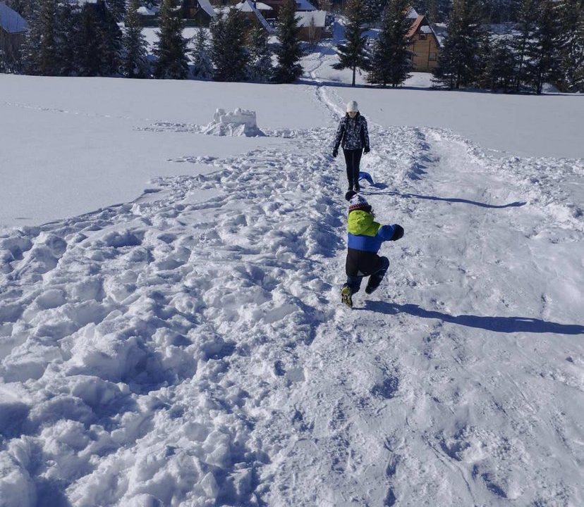 vikendica-o2-planina-tara-mitrovac-krnja-jela (21)