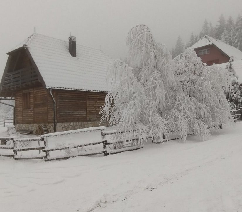vikendica-o2-planina-tara-mitrovac-krnja-jela (23)