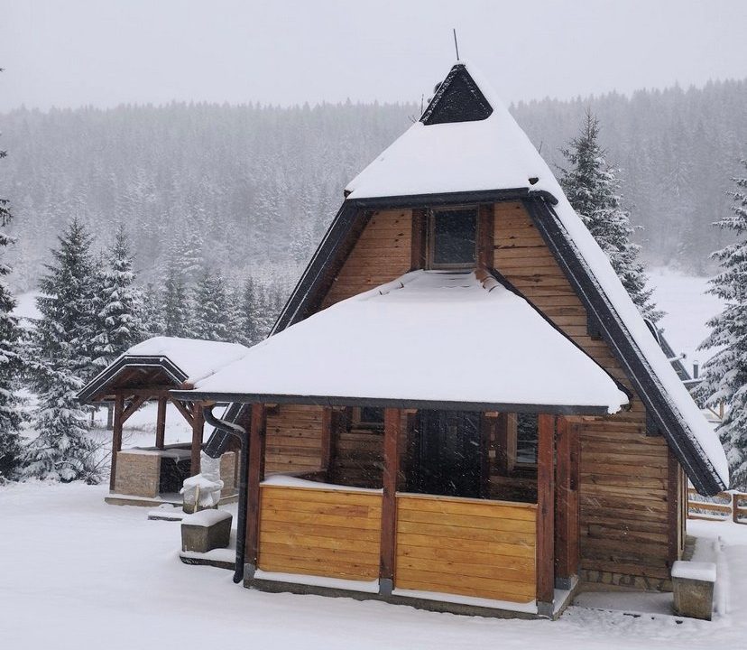 vikendica-o2-planina-tara-mitrovac-krnja-jela (3)