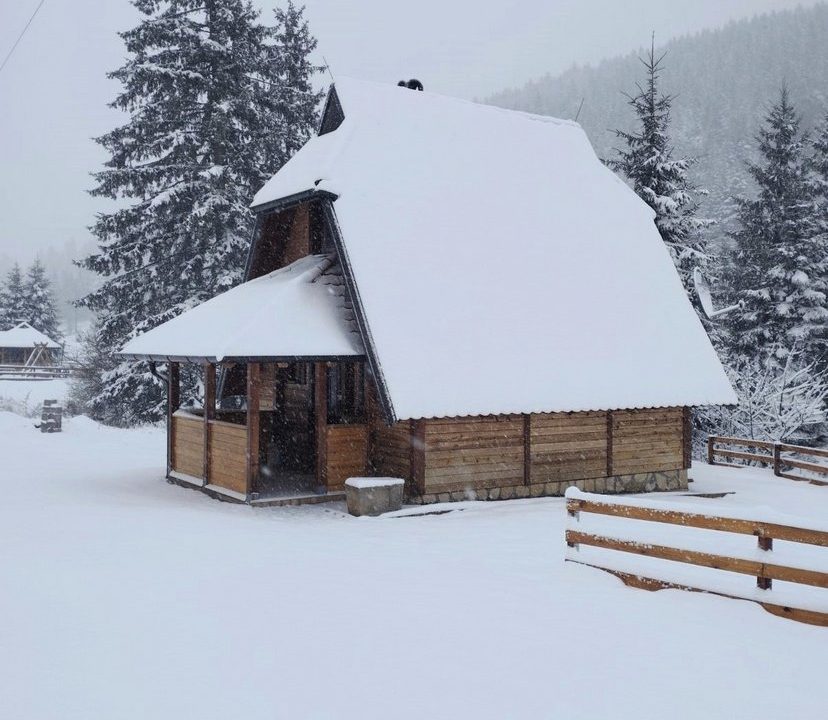 vikendica-o2-planina-tara-mitrovac-krnja-jela (4)