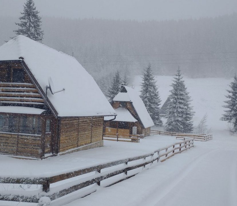 vikendica-o2-planina-tara-mitrovac-krnja-jela (5)