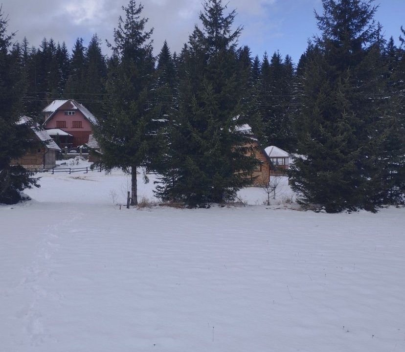 vikendica-o2-planina-tara-mitrovac-krnja-jela (9)